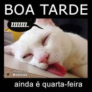 Boa tarde