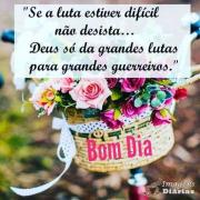 Bom dia