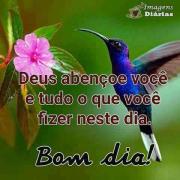 Bom dia