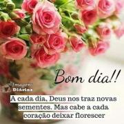 Bom dia