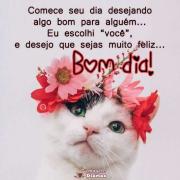 Bom dia