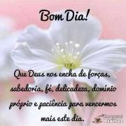 Bom dia