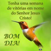 Bom dia