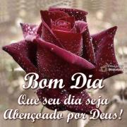 Bom dia