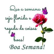 Boa semana